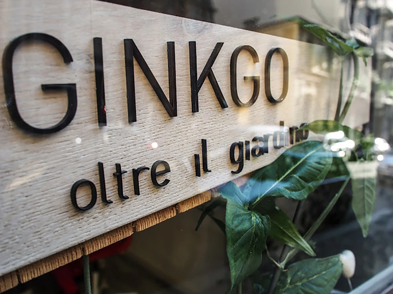 Ginkgo Team Ginkgo Team