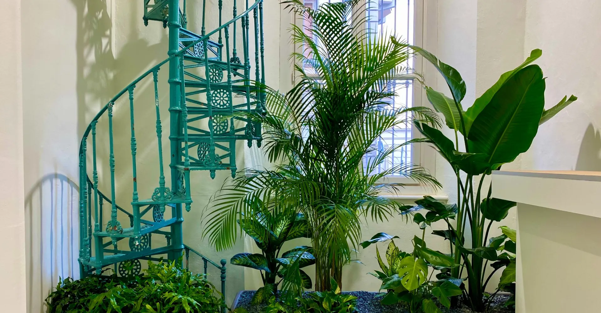 camera1 1920 1000 80 c