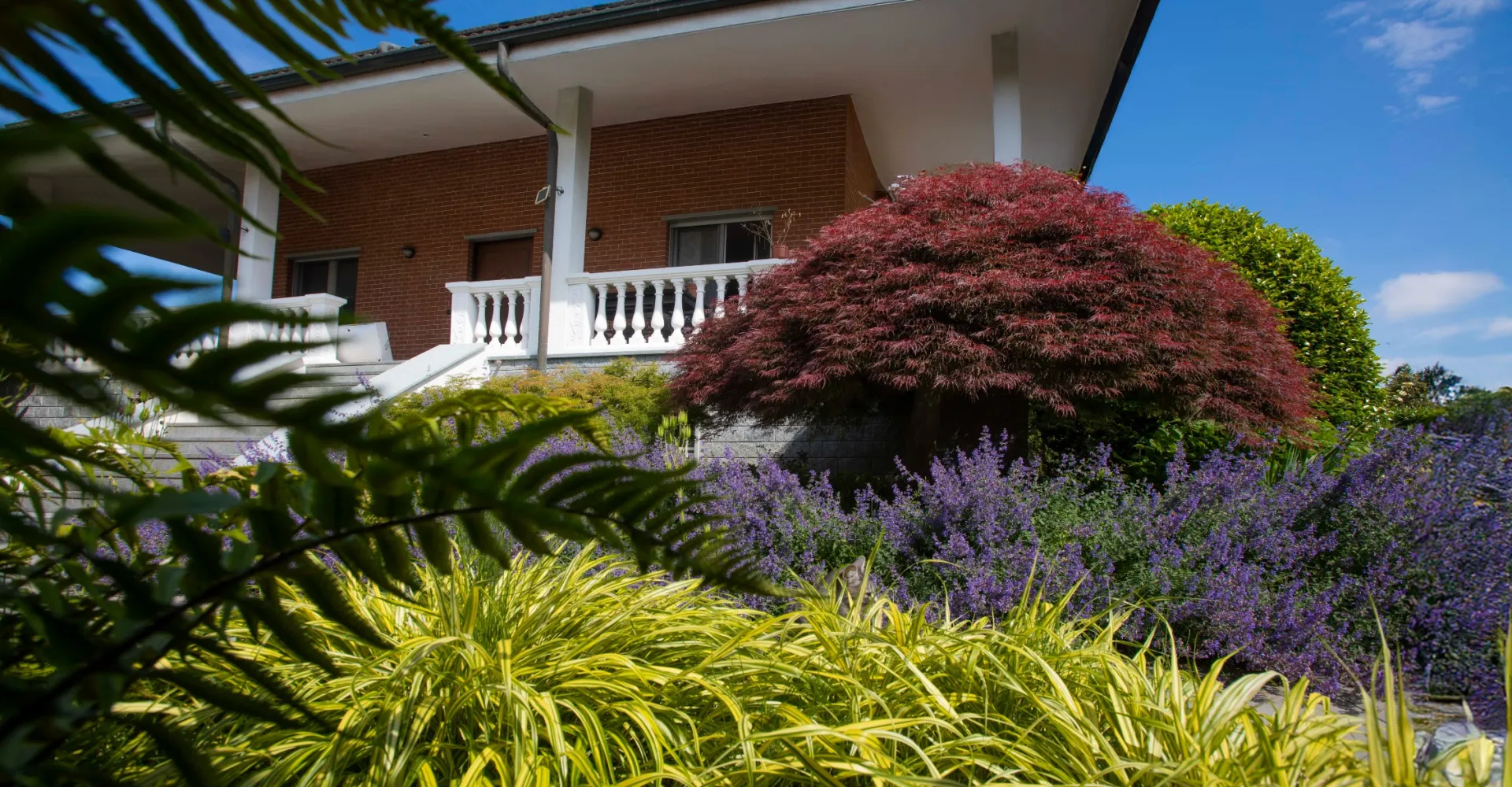 casamontanaro 1920 1000 80 c