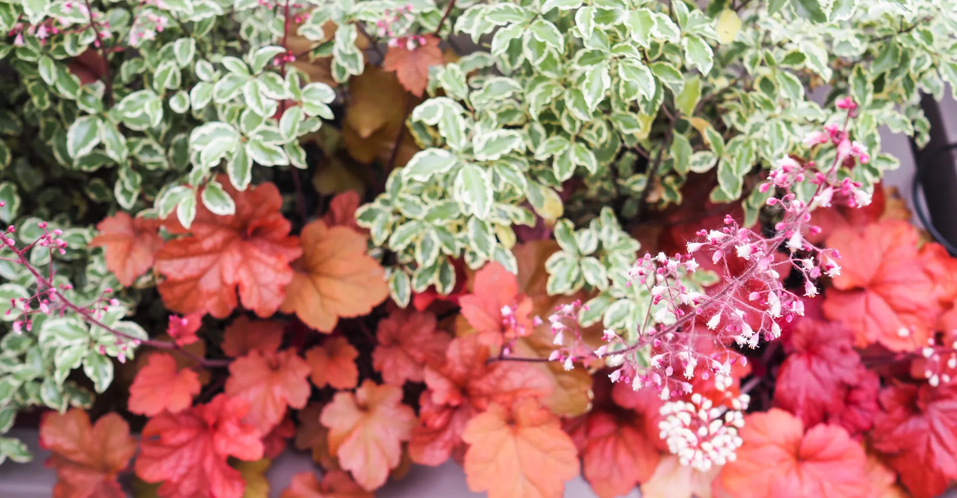 lungo terrazzo 04 1920 1000 80 c