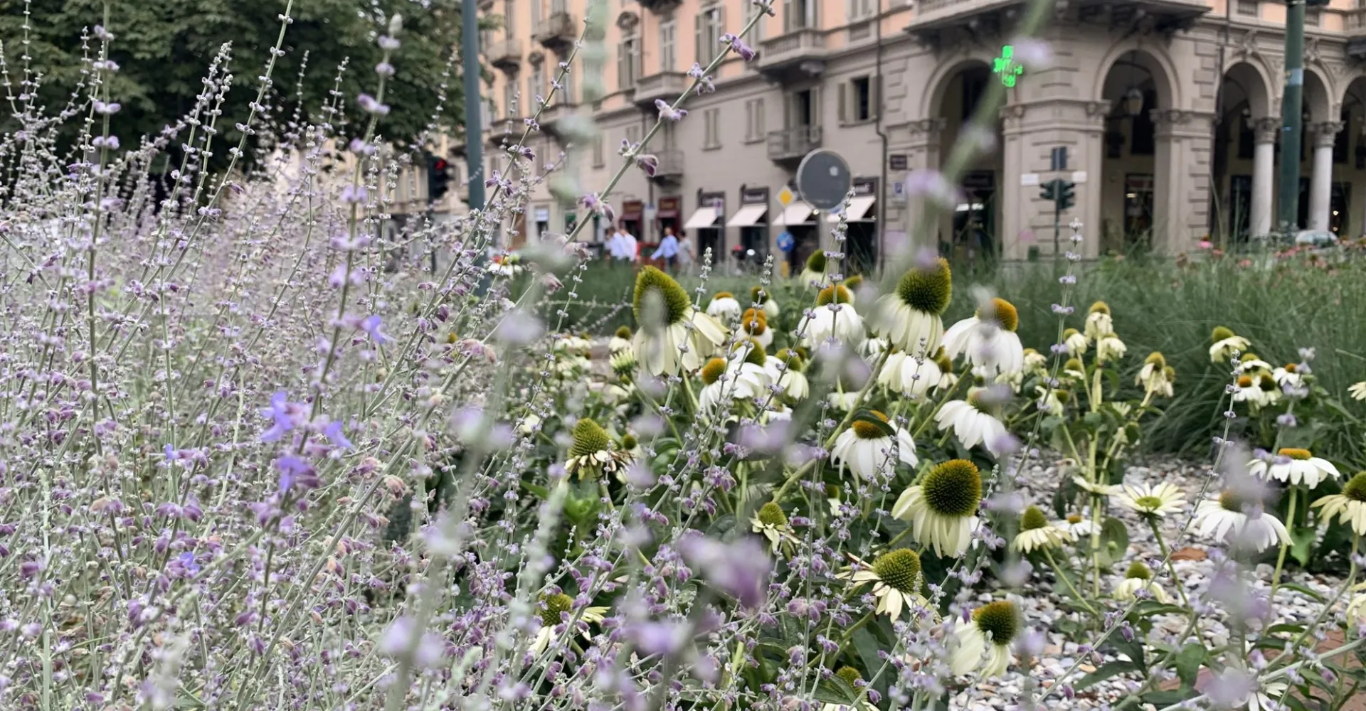 matteotti3 1920 1000 80 c