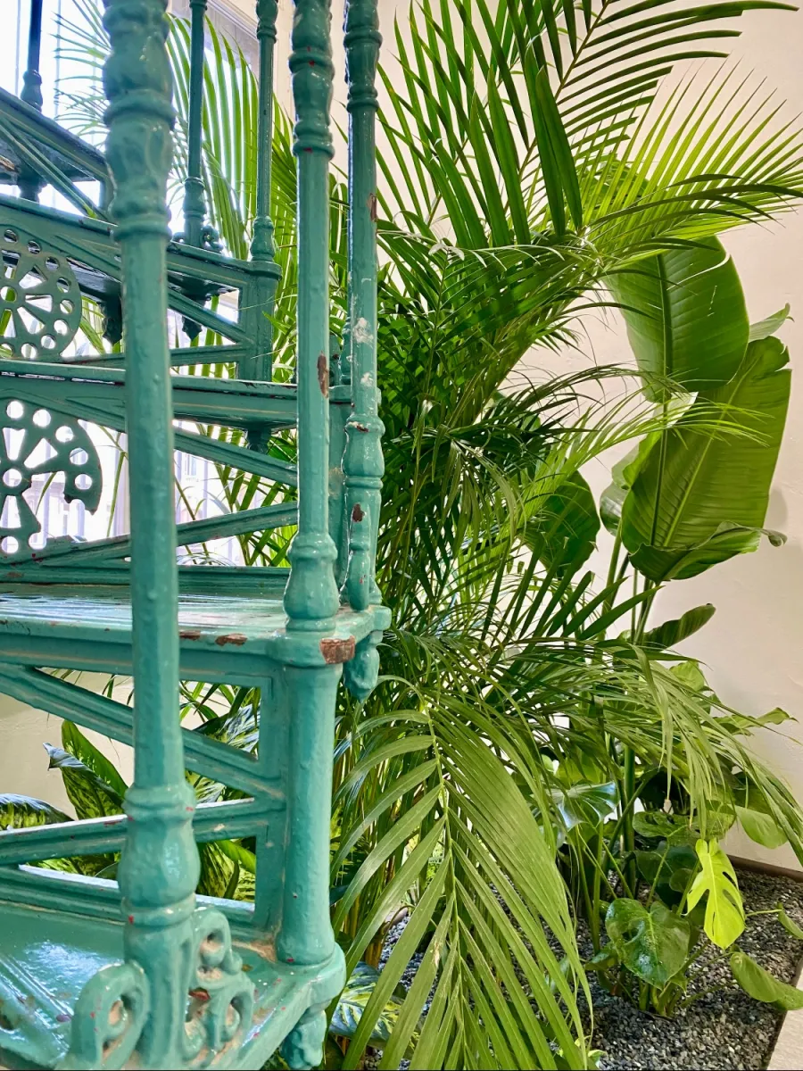 allestimento verde piante interno