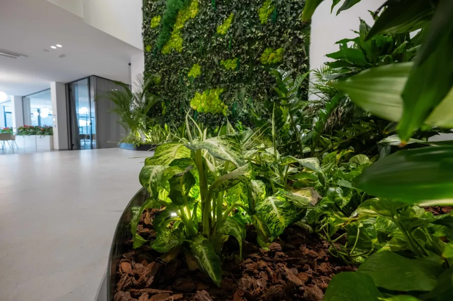 02 domino s head quarter