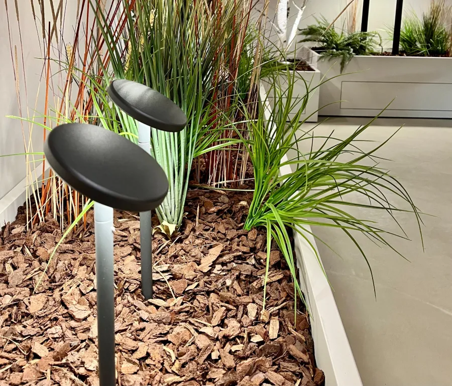 allestimento piante negozio