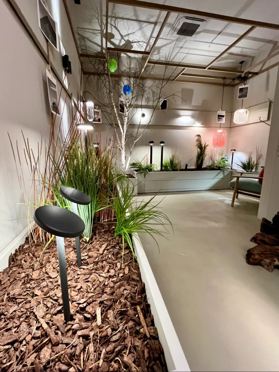 allestimento piante negozio