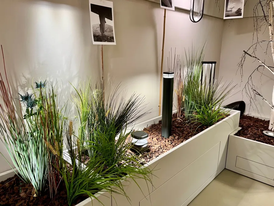 allestimento piante negozio